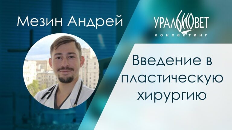 Введение в пластическую хирургию. Мезин Андрей #убвк_хирургия