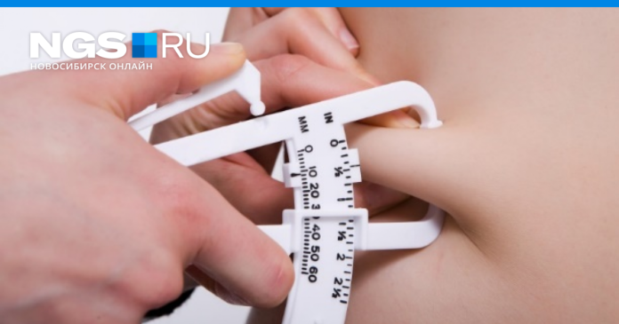 Elix, убрать жир с живота, подбородка, бедер, рук, спины - Новости Новосибирска – ngs.ru