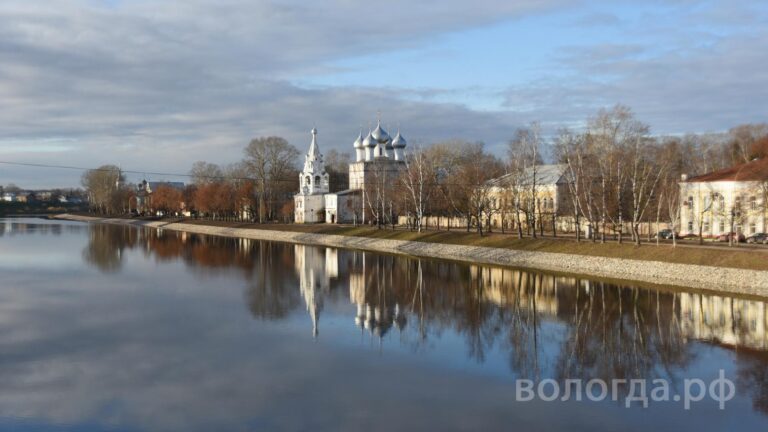 В Вологде поощрят авторов социально значимых проектов. Новости Вологды. Общество — Вологда.рф