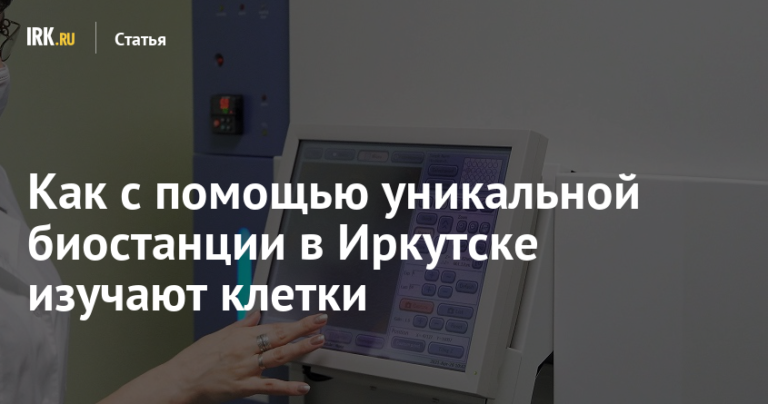 Как с помощью уникальной биостанции в Иркутске изучают клетки | Статьи