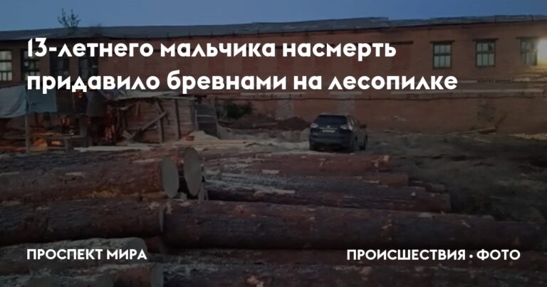 13-летнего мальчика насмерть придавило бревнами на лесопилке | Проспект Мира