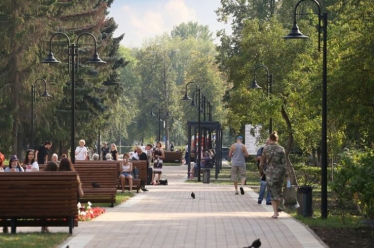 В Нижнем Новгороде на Ярмарочном проезде появились искусственные деревья | События | ОБЩЕСТВО