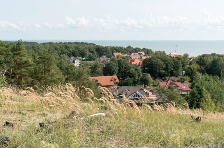 На озере Чайка Куршской косы появится новая обзорная площадка | ОБЩЕСТВО