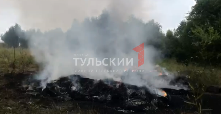 Сотни обожженных голов и копыт: свиной могильник под Дубной проверят на африканскую чуму - Новости Тулы и области