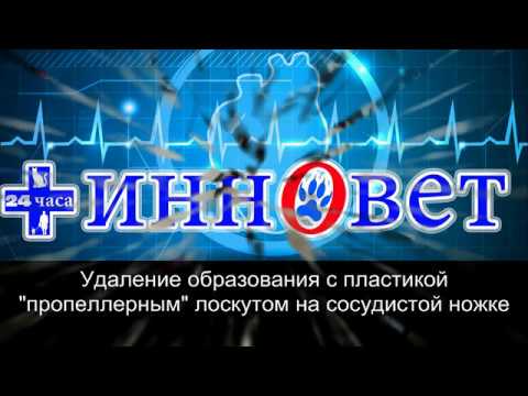 Удаление новообразования с пластикой "пропеллерным" лоскутом у собаки