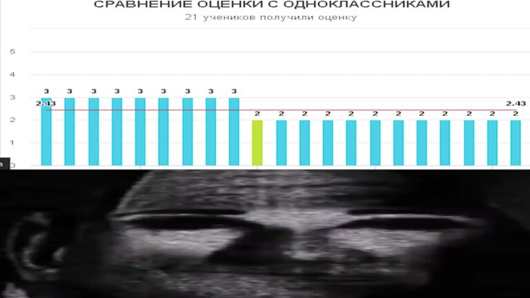 Кратко о оценках в школе: