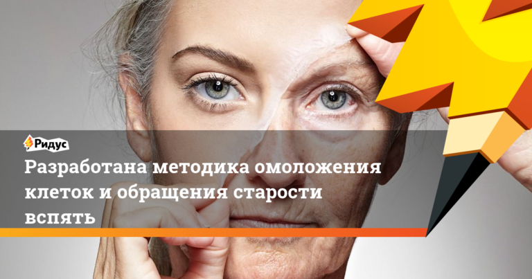 Разработана методика омоложения клеток и обращения старости вспять. Ридус