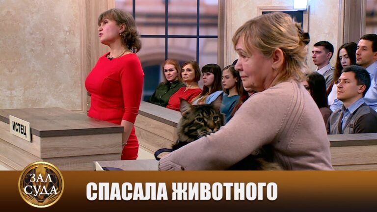 Кота бросила хозяйка — Битва за деньги с Дмитрием Агрисом