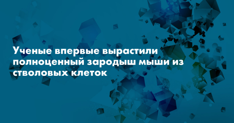 Ученые впервые вырастили полноценный зародыш мыши из стволовых клеток — Сноб