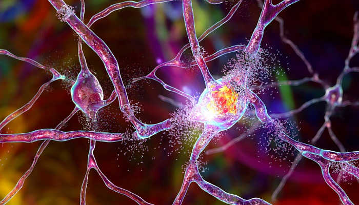 CRISPR-Cas-терапия ослабила симптомы болезни Гентингтона у мышей — PCR News